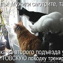 ���� ����, ������� - ��������� 16 ������ 2012 � ������ �������