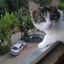 ���� ����, ��������, 32 ���� - ��������� 12 ���� 2012 � ������ ���� ����������