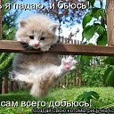 ���� ��������, �������� - ��������� 11 ����� 2012 � ������ �������� ��������