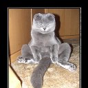 ���� ��������, ���� - ��������� 2 ������ 2013 � ������ ���� ����������