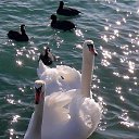 ���� �����, ����� - ��������� 29 ������ 2013 � ������ �������