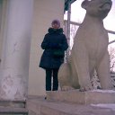 ���� ����, ������, 39 ��� - ��������� 8 ����� 2012 � ������ ���� ����������