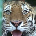  Hjvf, , 56  -  23  2010   