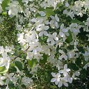 ���� ������, ���������, 46 ��� - ��������� 31 ��� 2013 � ������ ���� ����������