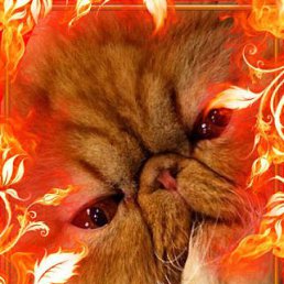 ���� �����, ������� - ��������� 28 ������ 2012