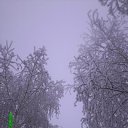 ���� �������, ������ - ��������� 15 ������� 2009 � ������ ���� ����
