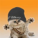 ���� �������, �����-���������, 44 ���� - ��������� 21 ������ 2010