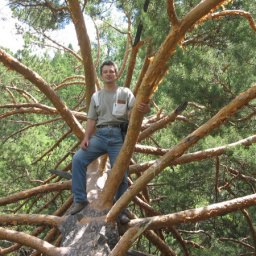 ������ ��������, ����, 61 ���