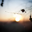 ���� ���������, ������ ����� - ��������� 22 ������� 2013 � ������ �...�