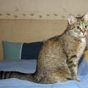 ���� - Dashenka, ��������, 27 ��� - ��������� 11 ����� 2012 � ������ ���� ����������