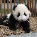 ���� ���4��, ������ - ��������� 20 ������� 2011