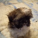 ���� ����, �����-���������, 41 ��� - ��������� 20 ����� 2011 � ������ ���� � �����