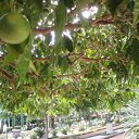 ���� �������, ������, 40 ��� - ��������� 9 ����� 2012 � ������ �RoadKing�