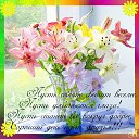 ���� �����, ������ - ��������� 21 ��� 2013 � ������ ���������