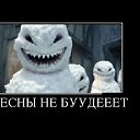 ���� �������, ������ - ��������� 5 ���� 2013 � ������ ���� ����������