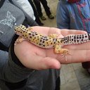 ���� �����, �������������, 25 ��� - ��������� 28 ���� 2013 � ������ �� �� ���������.�