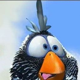 ���� �������, �������, 40 ��� - ��������� 1 ������ 2012