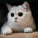���� �����, ���, 24 ���� - ��������� 28 ������� 2012 � ������ ���� ����������