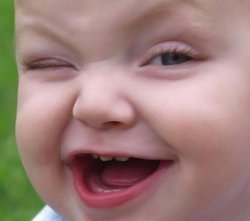 ���� ������, ���� - ��������� 23 ������� 2011