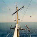 ���� ����, ���������, 55 ��� - ��������� 8 ������� 2012 � ������ ���� ����������