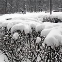   (Paolo Genua),  -  9  2010   ... ...