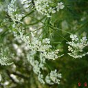 ���� ��������, ����������, 47 ��� - ��������� 12 ������ 2012 � ������ �������