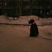 ����� ������, 55 ���, �����������