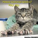 ���� �����, �����������, 41 ��� - ��������� 12 ������� 2010 � ������ �������� ���������!�