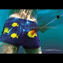 ���� ������, ��������, 52 ���� - ��������� 2 ����� 2012