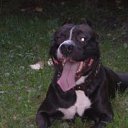 ���� ������, �����-���������, 60 ��� - ��������� 27 ���� 2011