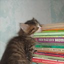 ���� ������, ������, 67 ��� - ��������� 23 ���� 2012 � ������ �������