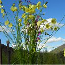 ���� ���, ������� - ��������� 22 ������ 2011 � ������ �������� ������