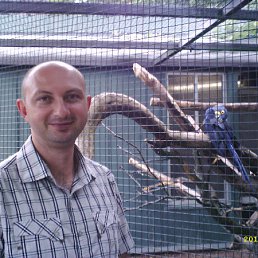 ���� Waldemar, ��������, 53 ���� - ��������� 21 ��� 2012