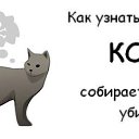 ���� Sem...&reg;&trade; (����) ������������, ������-��-����, 39 ��� - ��������� 23 ���� 2010 � ������ ���� ������, ��� ��� ��� ����� ��� ������