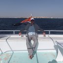 ���� ������, �����-���������, 37 ��� - ��������� 15 ������� 2012