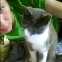 ���� �������, ���������, 38 ��� - ��������� 23 ���� 2013 � ������ ���� ����������