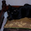 ���� ��������, ������, 52 ���� - ��������� 8 �������� 2010 � ������ �������