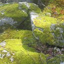 ���� �������, ����������� - ��������� 25 ������ 2013 � ������ ���� ����������