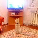 ���� �� ������� ����� ��� ������������