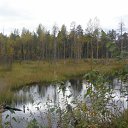 ���� �������, ������������, 46 ��� - ��������� 29 ������ 2012 � ������ ���� ����������