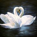 ���� ������, ����������, 49 ��� - ��������� 13 ��� 2012 � ������ ���� ����������