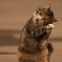 ���� ��������, �����������, 56 ��� - ��������� 2 ������ 2012 � ������ ��������....)))�