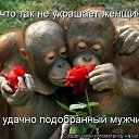 ���� ������., ������� ������, 58 ��� - ��������� 6 ���� 2013 � ������ ���� ����������