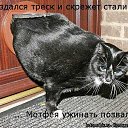 ���� ����, ����������� - ��������� 9 ������� 2010 � ������ ������� ���� �������)�