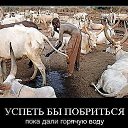 ���� Vallerij, ������������, 46 ��� - ��������� 23 ����� 2013 � ������ ������ � ��������