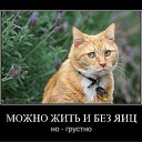 ���� Leohid (������), ������, 68 ��� - ��������� 1 ������� 2011 � ������ �� �Ѩ � ̻ͨ
