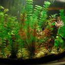 ���� ����, ������ - ��������� 22 ������� 2012 � ������ ���� ��������� �� ���������� �����!!!�