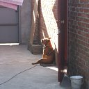 ��������� �����... �� ������� ����� ��� ������������