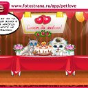 ���� Sem, �����, 53 ���� - ��������� 23 ������ 2011 � ������ �PetLove�