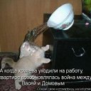 ���� ����, ����, 25 ��� - ��������� 27 ������� 2011 � ������ �Avataria�